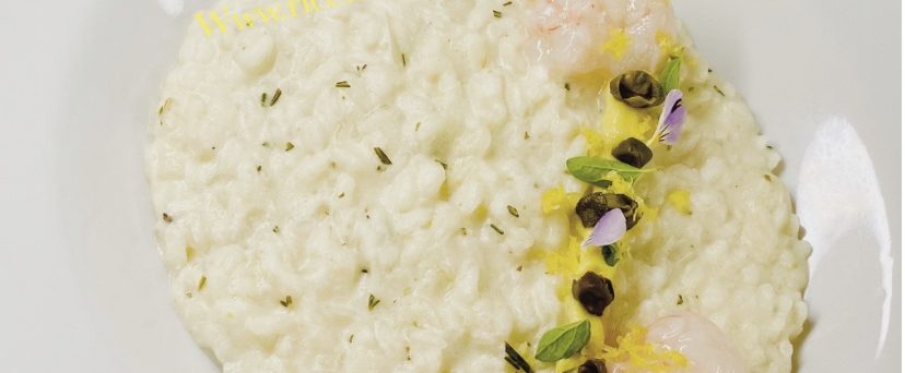 Risotto Limone, Scampi e Rosmarino reinterpretazione del piatto dello chef andrea aprea -ristorane- vun ** stelle michelin